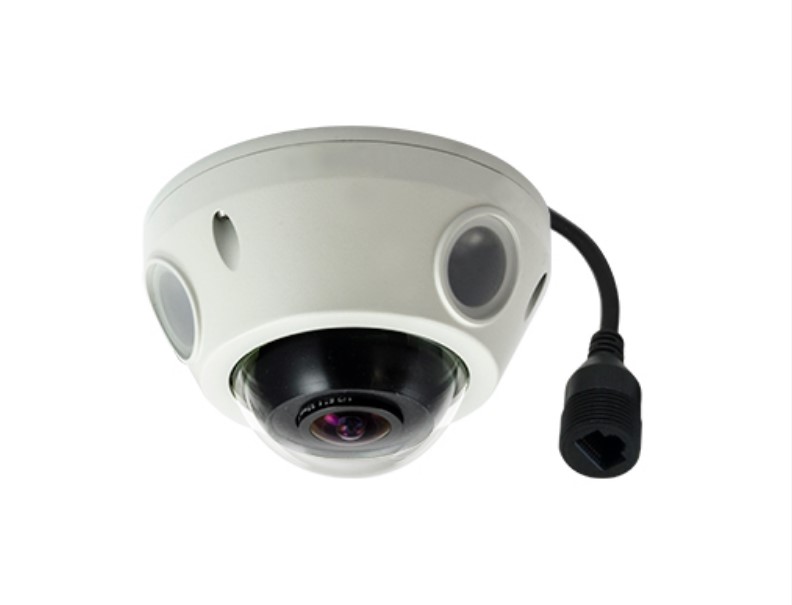 LevelOne IPCam FishEye Fix In/Out FCS-3093